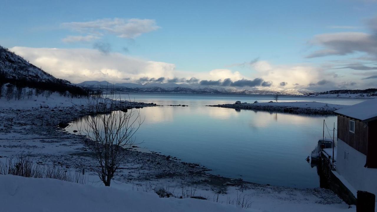 Prima Lofoten Myrland ภายนอก รูปภาพ