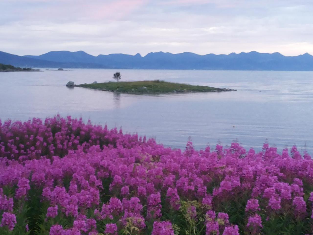 Prima Lofoten Myrland ภายนอก รูปภาพ