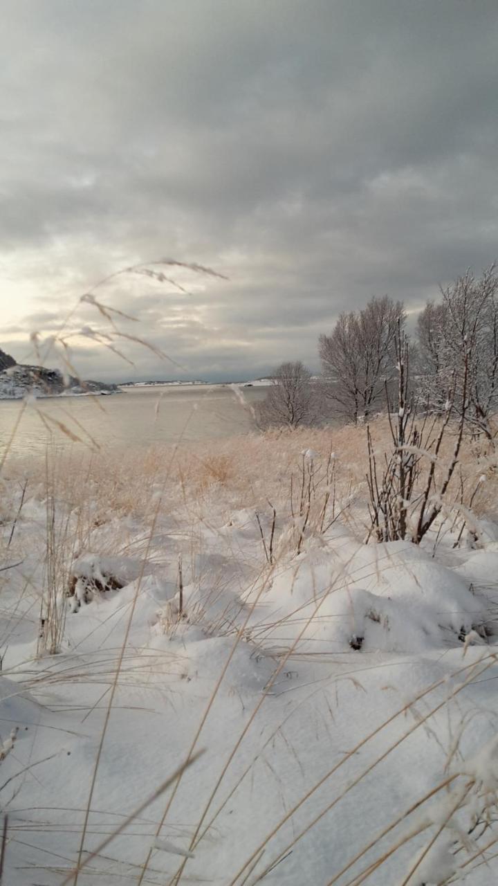 Prima Lofoten Myrland ภายนอก รูปภาพ