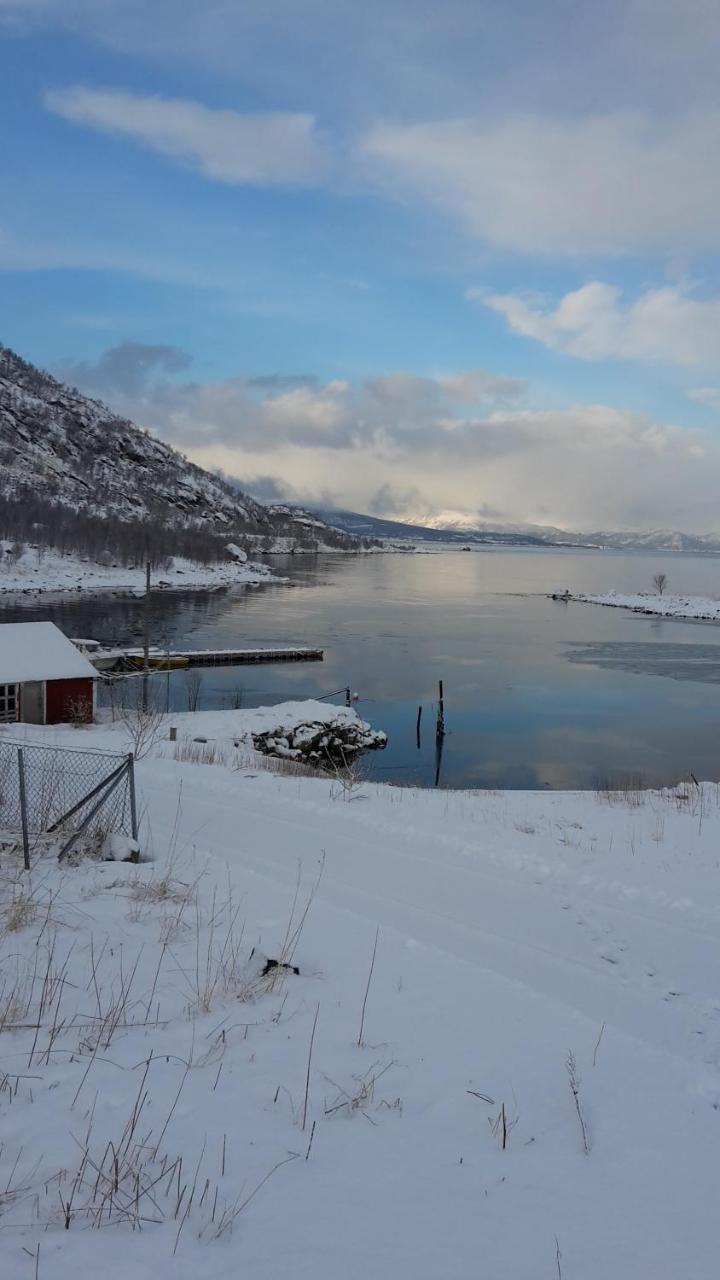 Prima Lofoten Myrland ภายนอก รูปภาพ